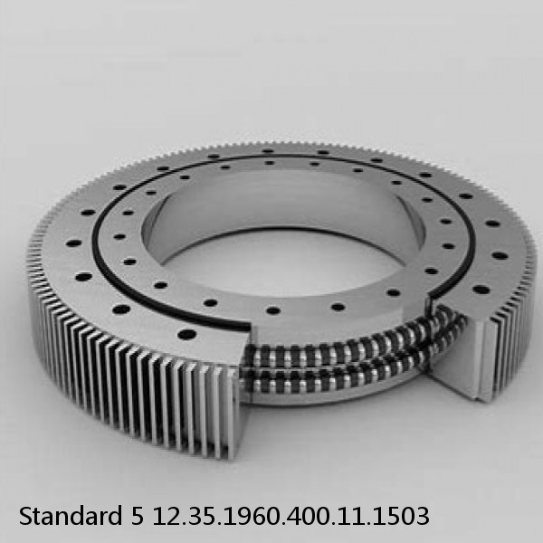 12.35.1960.400.11.1503 Standard 5 Slewing Ring Bearings