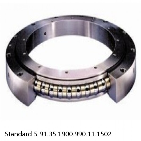 91.35.1900.990.11.1502 Standard 5 Slewing Ring Bearings #1 small image
