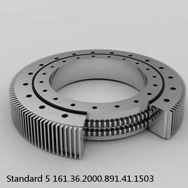 161.36.2000.891.41.1503 Standard 5 Slewing Ring Bearings #1 small image