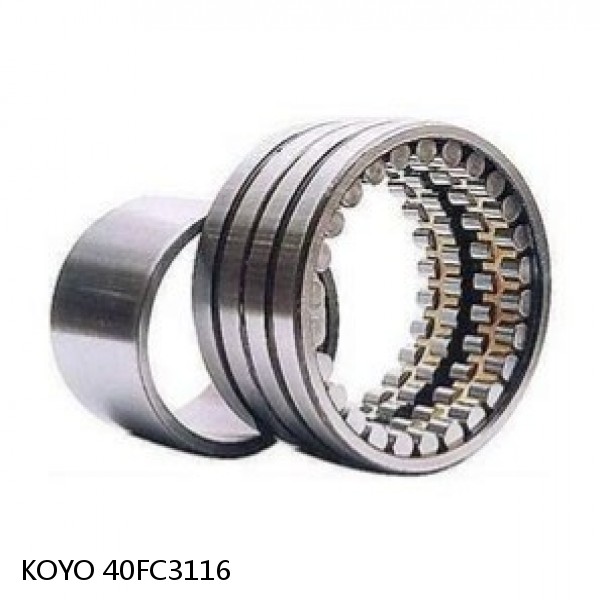 40FC3116 KOYO Four-row cylindrical roller bearings #1 small image