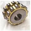 0.875 Inch | 22.225 Millimeter x 1.125 Inch | 28.575 Millimeter x 1 Inch | 25.4 Millimeter  IKO LRB141816  Needle Non Thrust Roller Bearings #1 small image