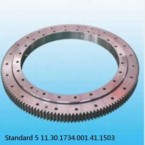 11.30.1734.001.41.1503 Standard 5 Slewing Ring Bearings #1 image