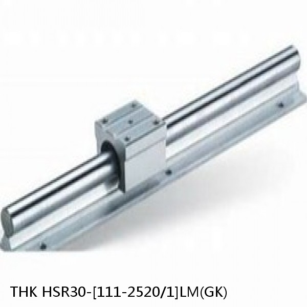 HSR30-[111-2520/1]LM(GK) THK Linear Guide (Rail Only) Standard Grade Interchangeable HSR Series #1 image