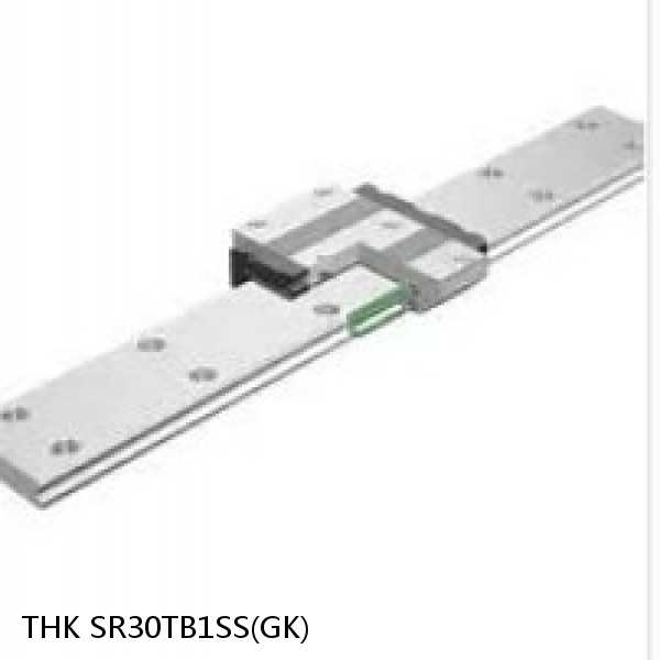 SR30TB1SS(GK) THK Radial Linear Guide (Block Only) Interchangeable SR Series #1 image