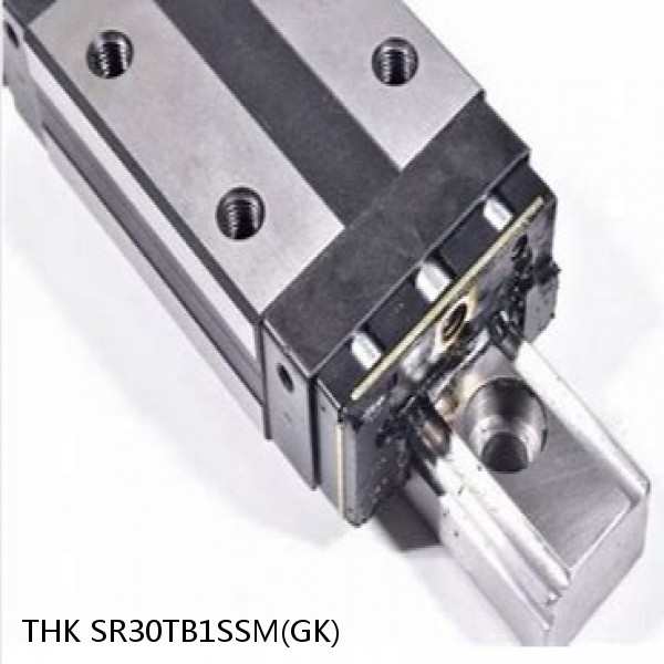 SR30TB1SSM(GK) THK Radial Linear Guide (Block Only) Interchangeable SR Series #1 image
