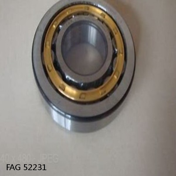52231 FAG Cylindrical Roller Bearings #1 image