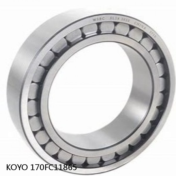 170FC11865 KOYO Four-row cylindrical roller bearings #1 image
